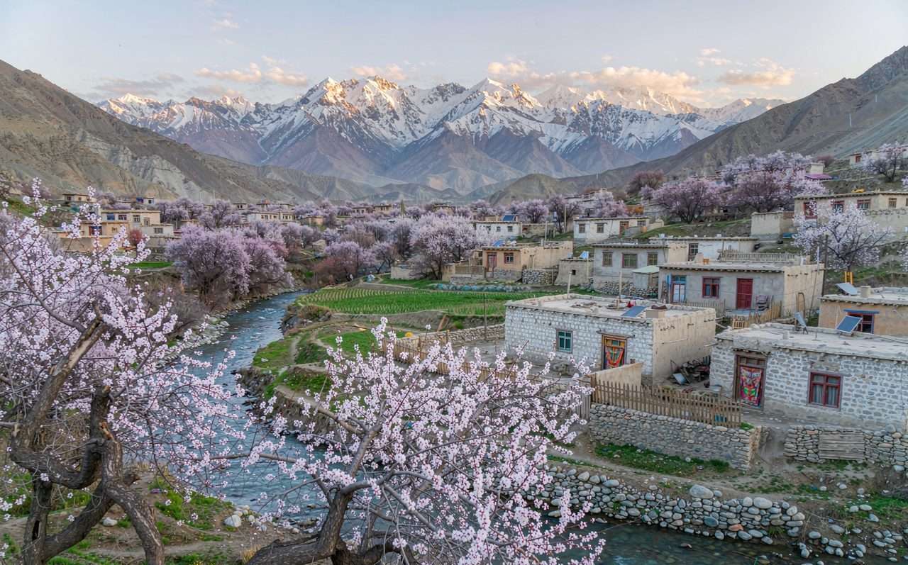 南疆杏花专线4日游｜3月底塔县大同乡杏花村